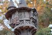 rapunzel-cp-pixabay.jpg