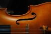 violine136_v-contentxl.jpg