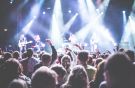 pexels- Deine Bühne pexels- Deine Bühne